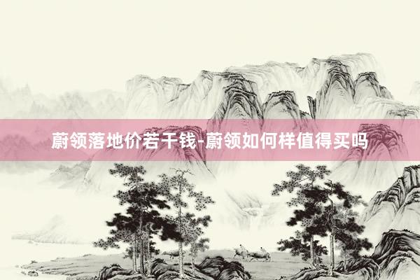 蔚领落地价若干钱-蔚领如何样值得买吗